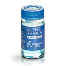 Lendan ampollas recovery ultra repair