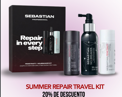 Sebastian Repair In very Step Summer Kit